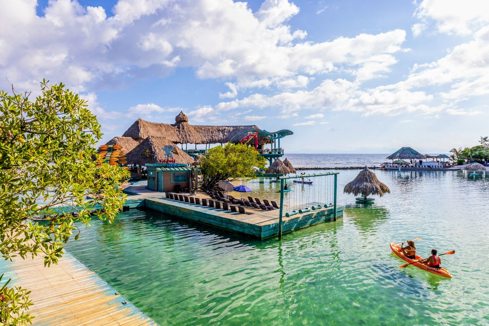 LFK and animal sanctuary